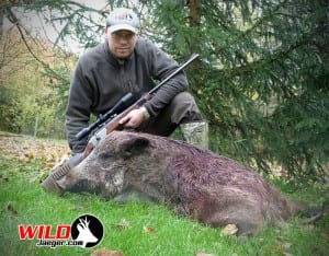 Wild Boar and Mouflon Hunt November 2012